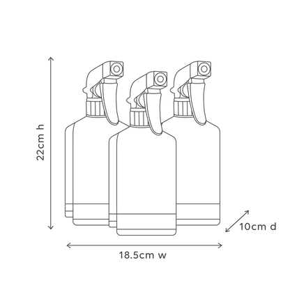 Home Cleaning Starter Kit