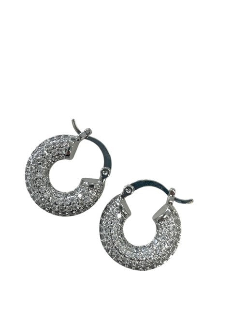 Jcsc Round Silver Crystal Earings