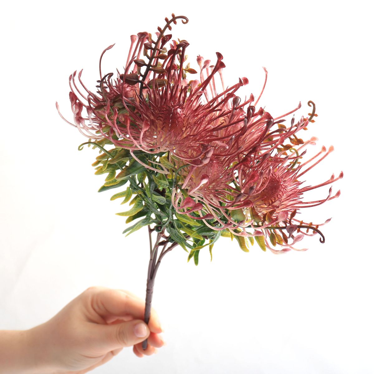 Native Pincushion Protea Flower Red-Pink - Spray