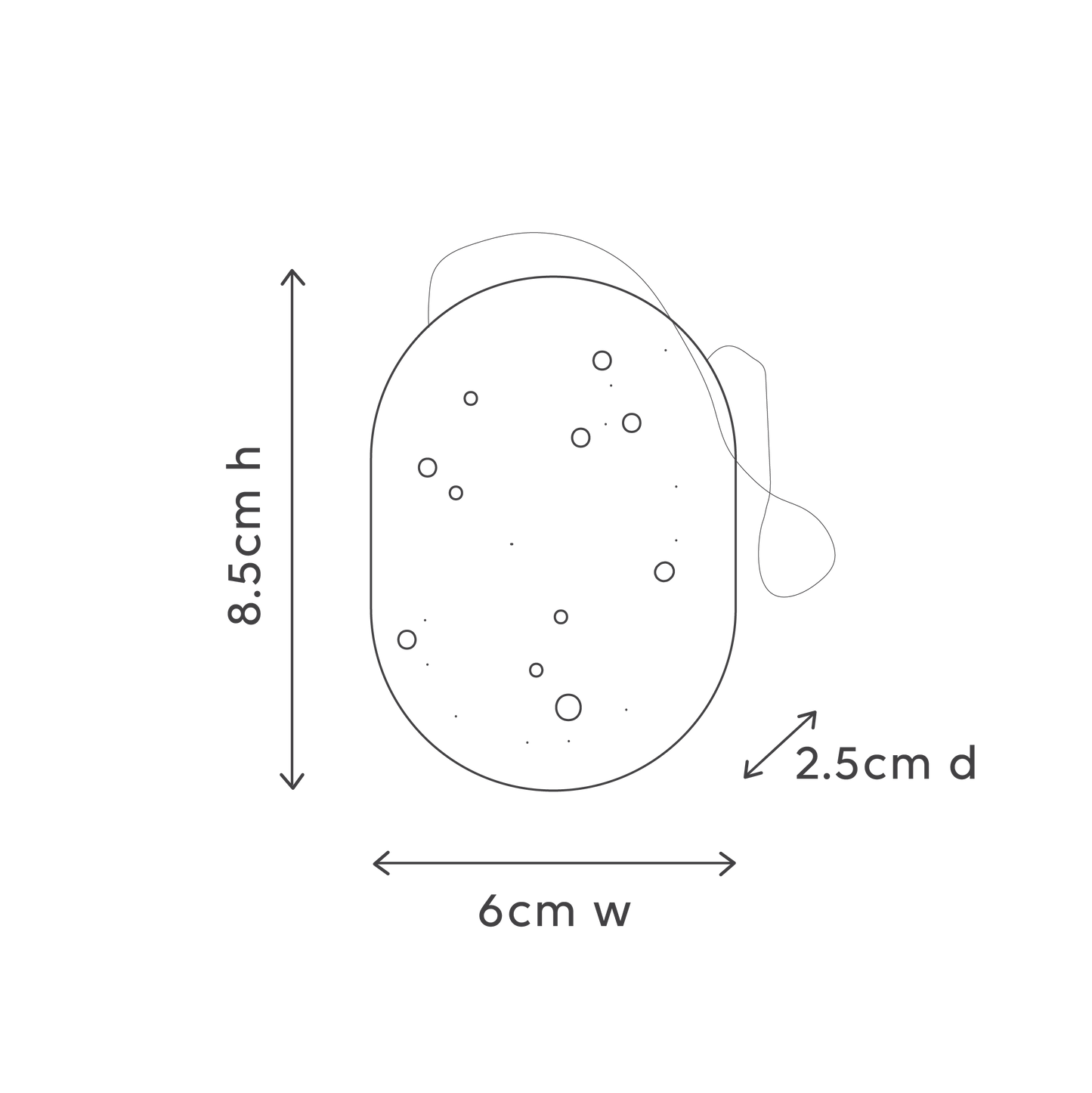 Natural Konjac Sponge