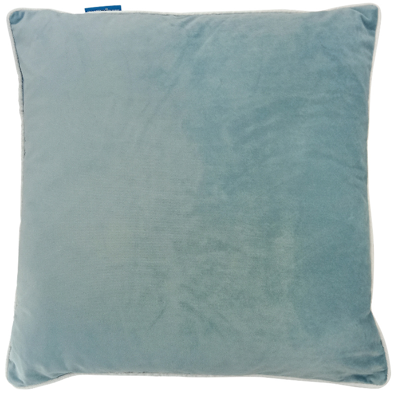 Duck egg clearance blue cushion covers