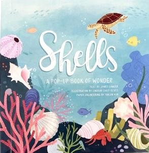 Shells- A Pop Up Book