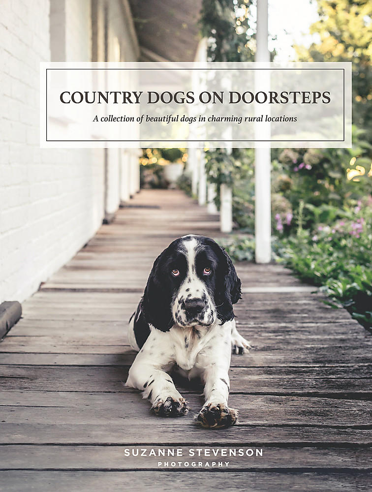 Country Dogs On Doorsteps