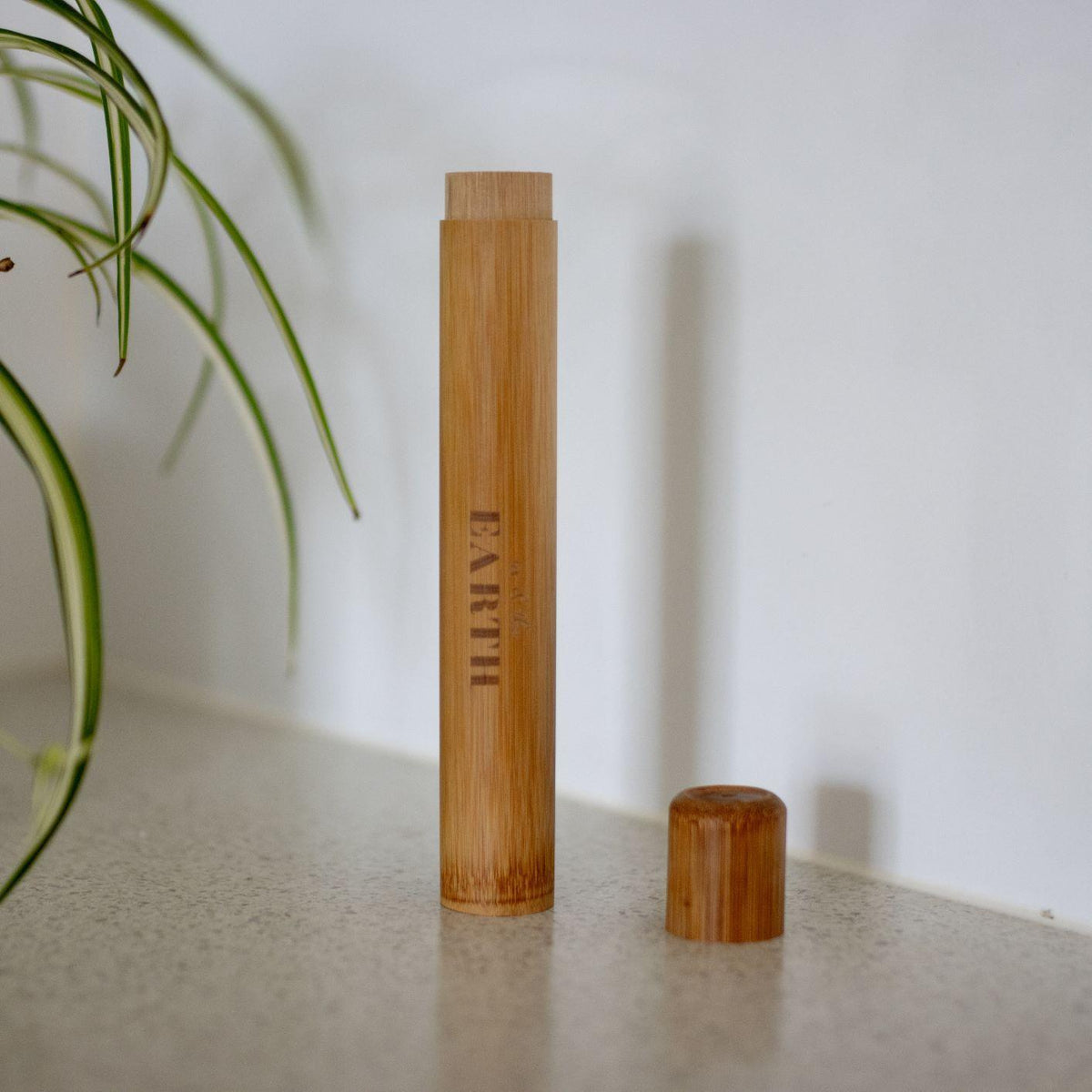 Bamboo Toothbrush Travel Case