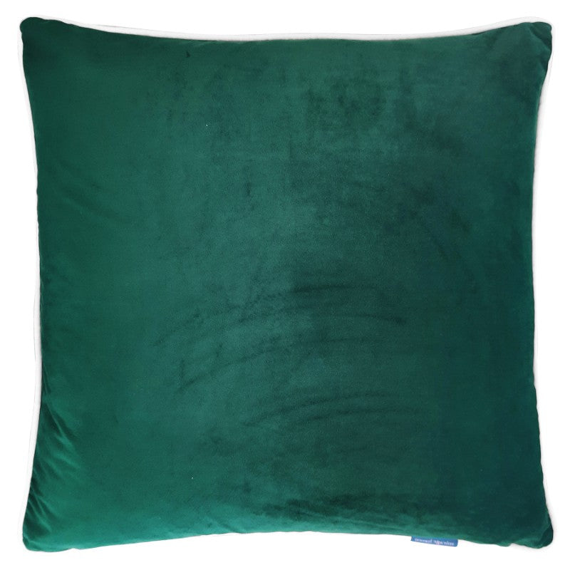 Myuna Emerald Green Premium Velvet White Piping 
Cushion Cover 60 cm by 60 cm