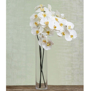 Orchid Phalaenopsis Spray 1m White