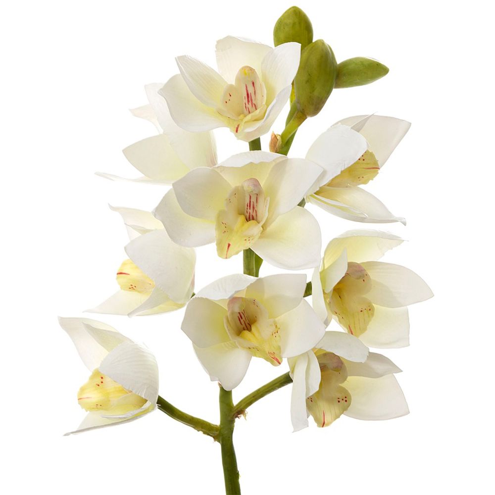 Orchid Cymbidium Spray 47cm White