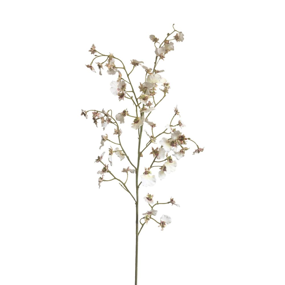 Dancing Orchid 93cm White