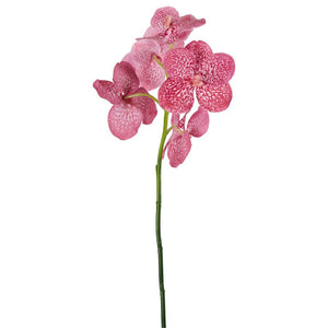 Vanda Orchid Stem 66cm Pink
