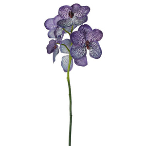Vanda Orchid Stem 66cm Purple