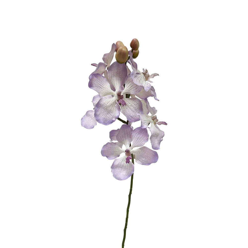Dendrobium Orchid Spray Lilac